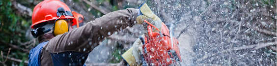 man using a chainsaw